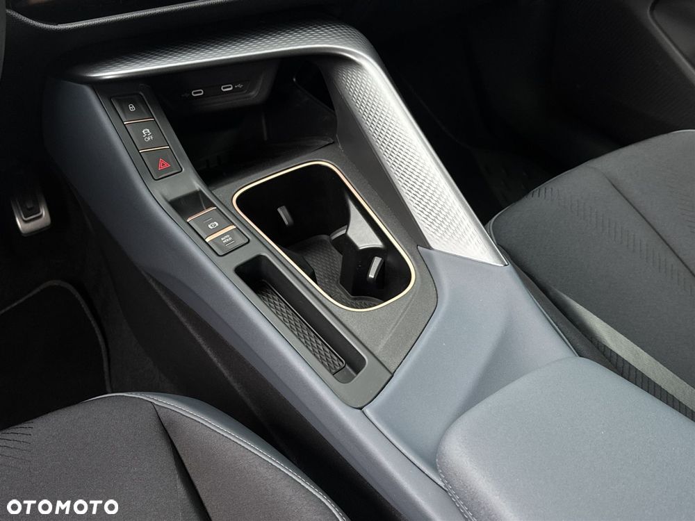 Cupra Terramar - 17