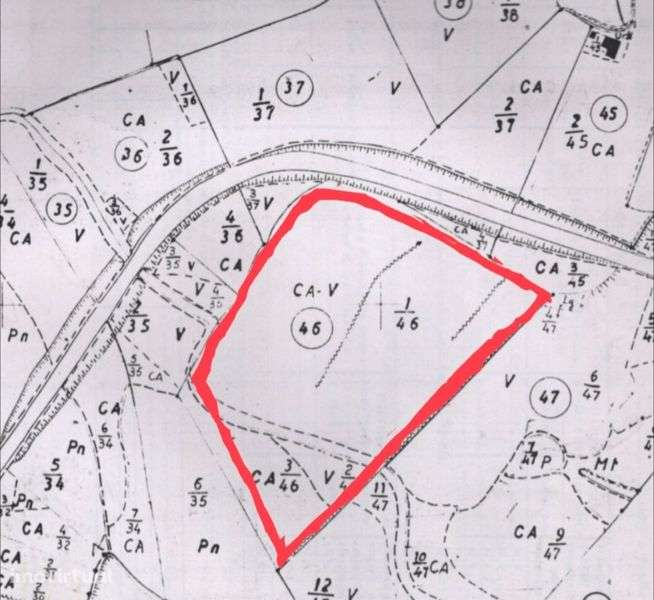 Terreno Rústico "Casal do Juncal" Bombardeira - Grande imagem: 2/2