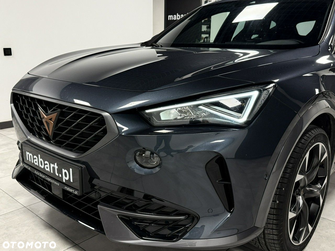 Cupra Formentor 2.0 TSI 4Drive DSG - 8