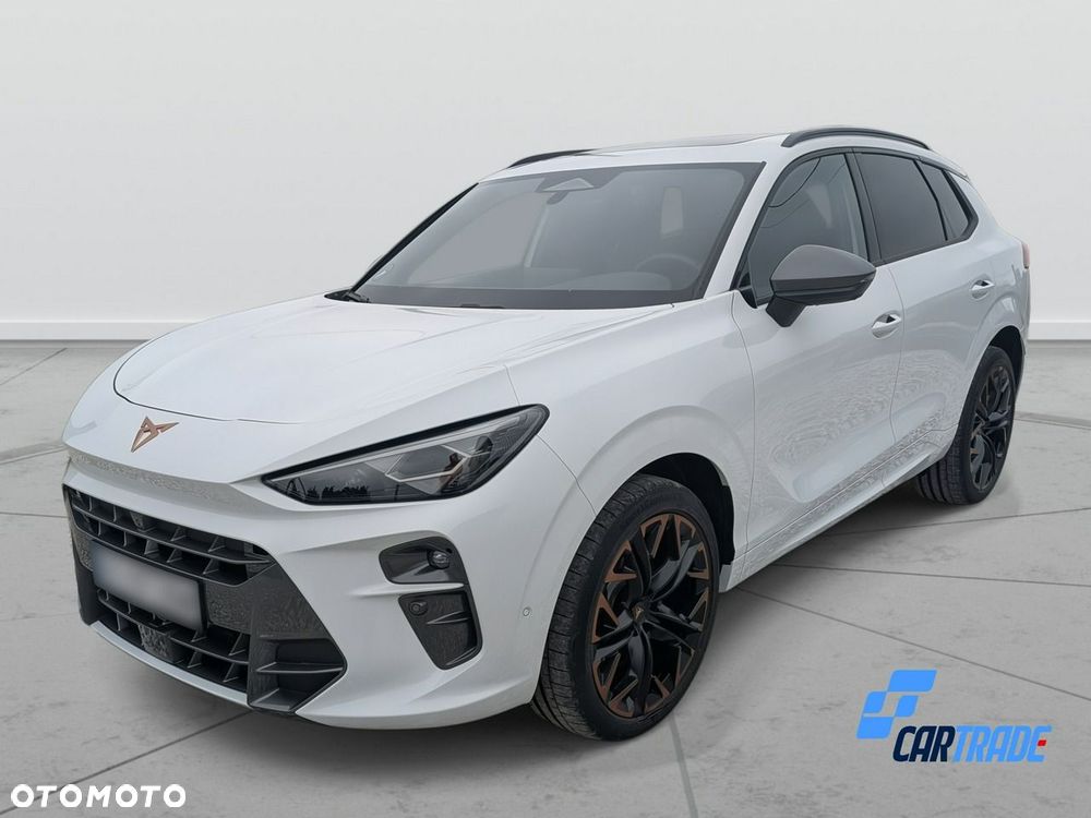 Cupra Terramar - 35