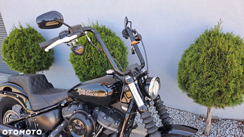 Harley-Davidson Softail - 23