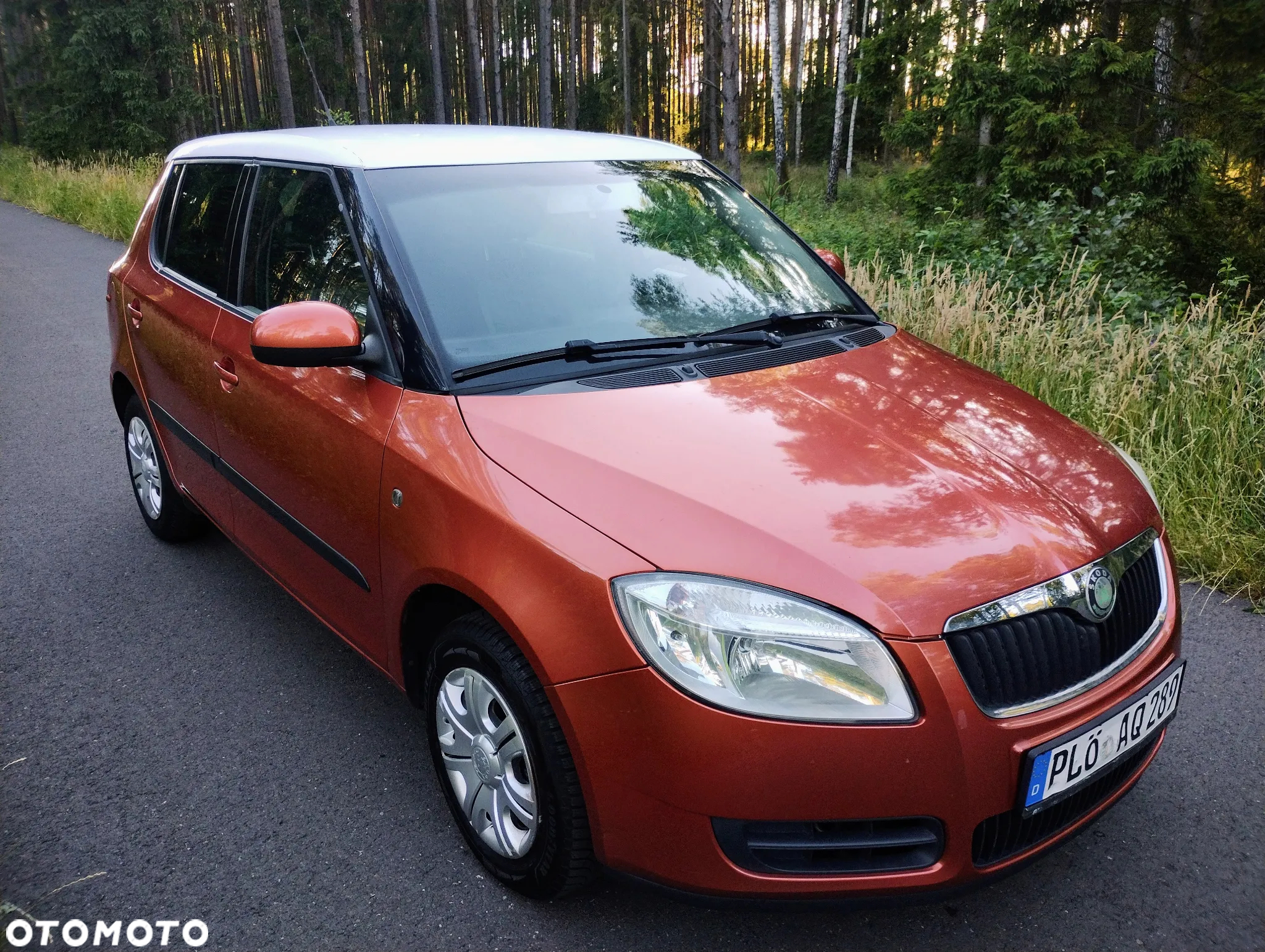 Skoda Fabia - 12