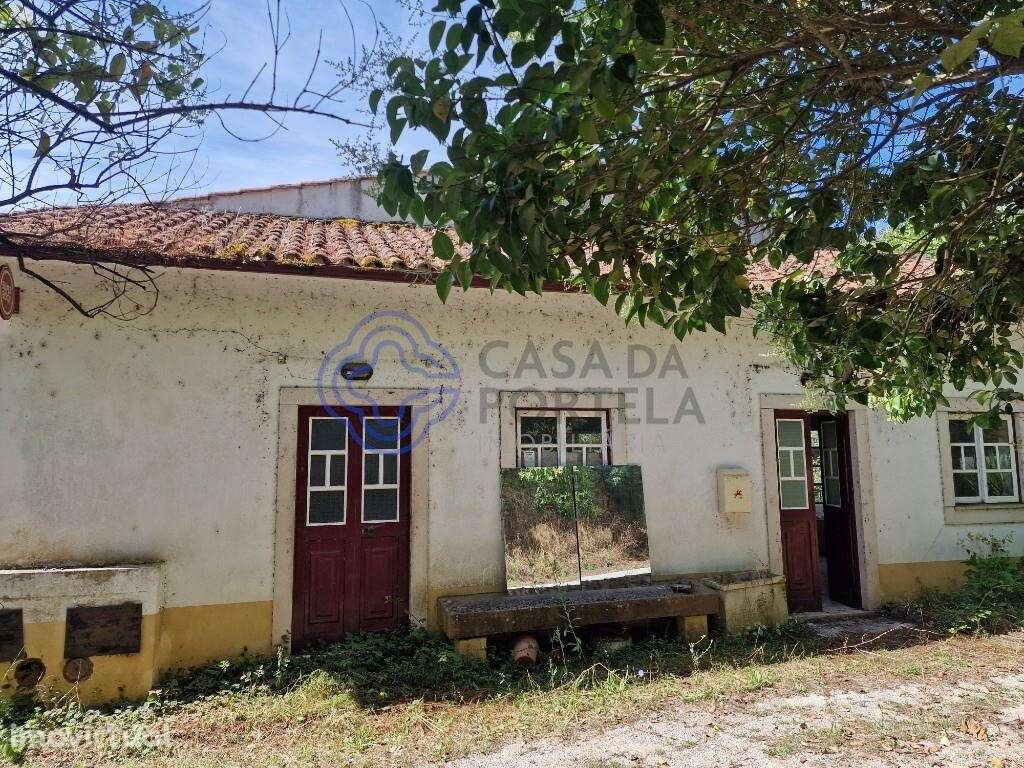 Restaurante para Venda em Figueiró dos Vinhos | Esplanada Panorâmica - Grande imagem: 5/8