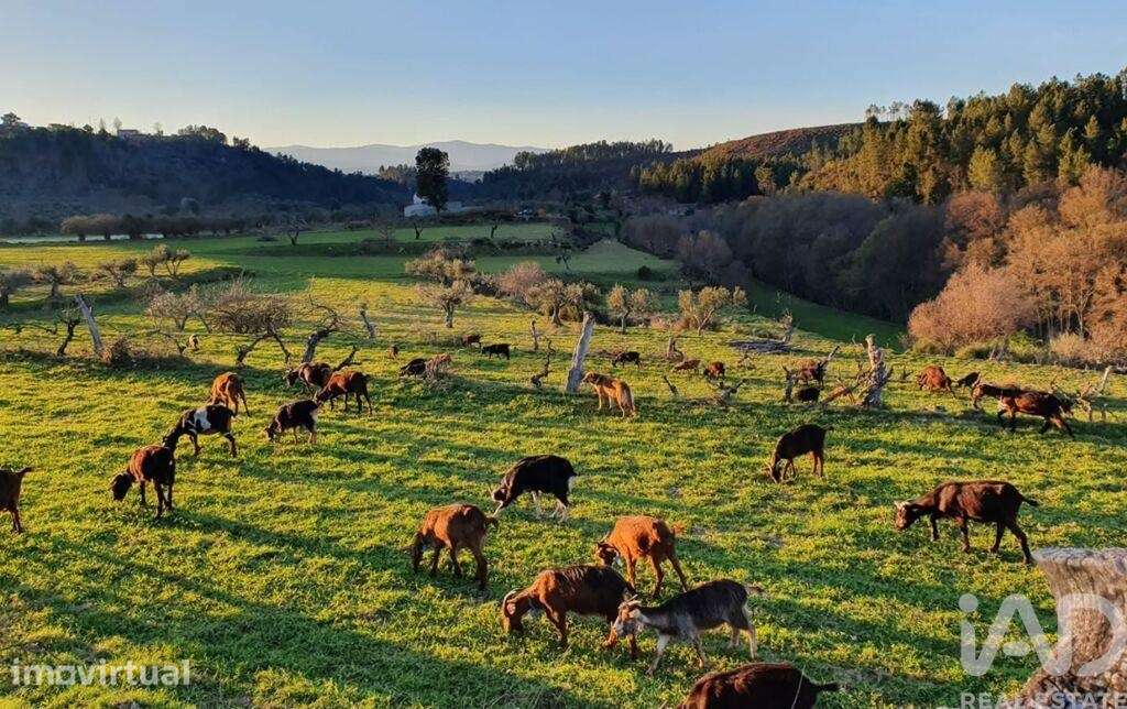 Quinta rural T5 em Lavacolhos de 457,17 m2 - Grande imagem: 2/36