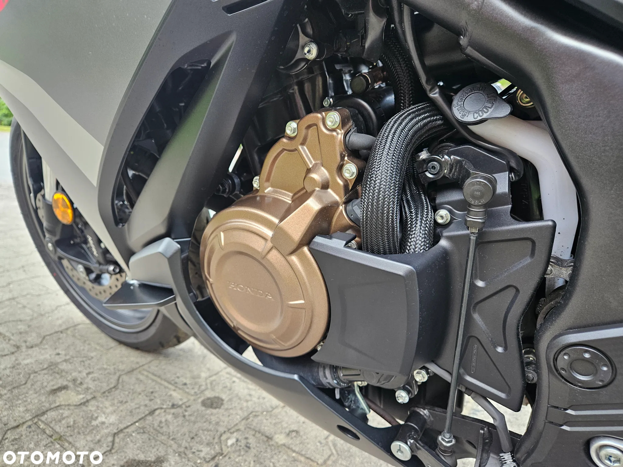 Honda CBR - 21