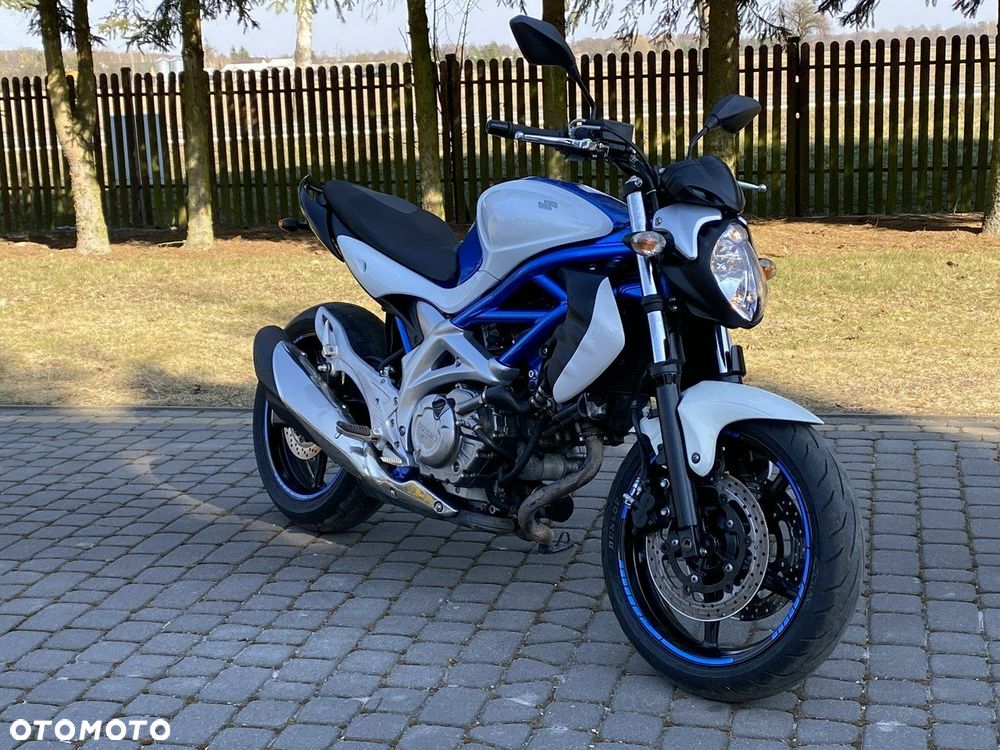 Suzuki Gladius - 6