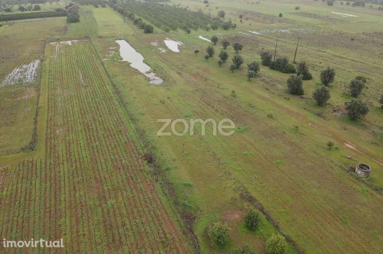 Terreno Rústico c/ 2.440m2 em Lenciscais, Paderne, Albufeira - Grande imagem: 5/16