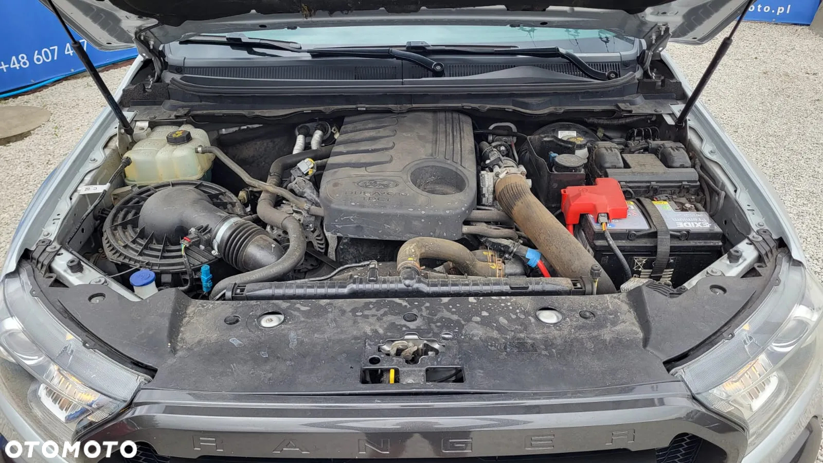 Ford Ranger Extra Autm Wildtrak - 26