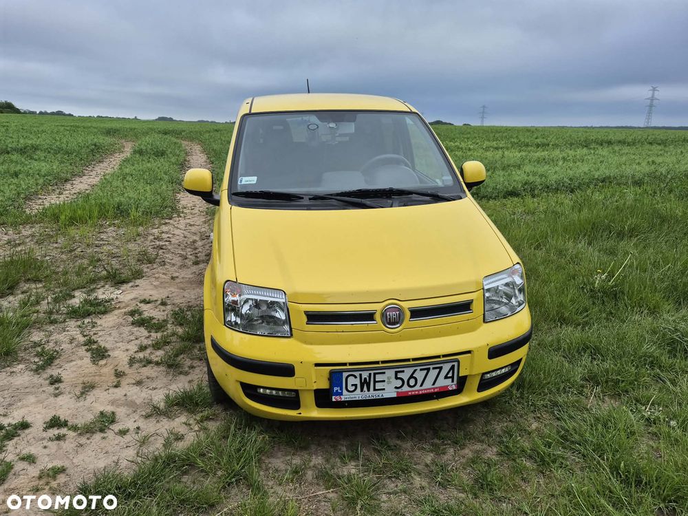 Fiat Panda - 1