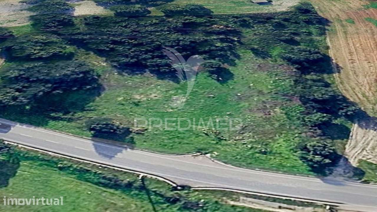 Terreno Rústico com 9.200 m² | Quinta do Anjo