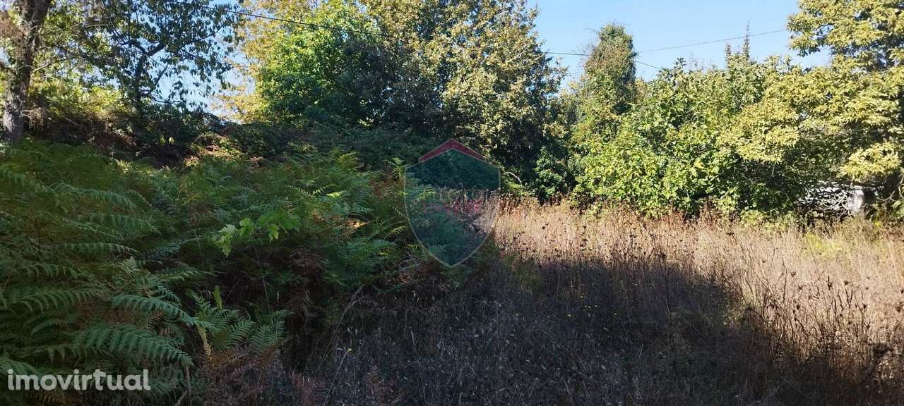 Terreno Rústico  Venda em Viseu,Viseu - Grande imagem: 3/8