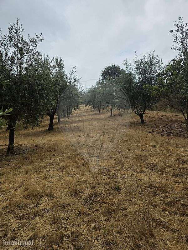Terreno  para venda - Grande imagem: 2/6