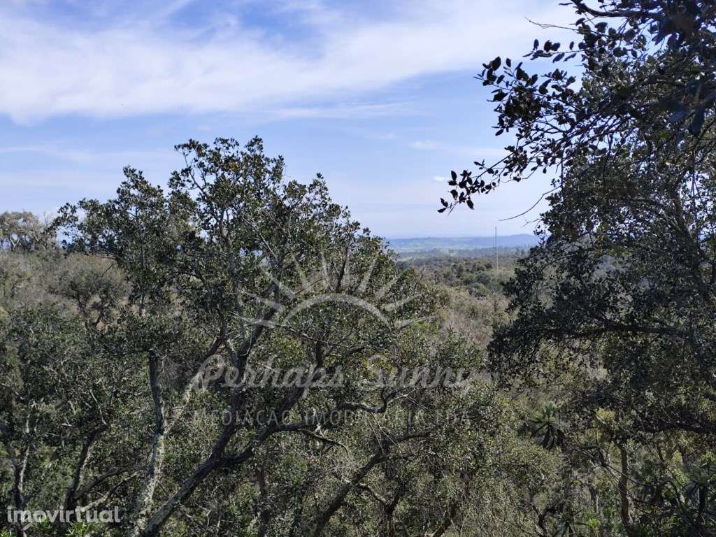 Terreno Rústico - Santa Margarida da Serra - Grande imagem: 3/17