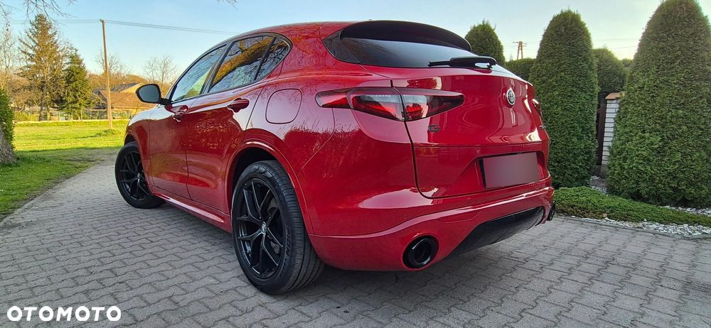 Alfa Romeo Stelvio 2.0 Turbo Veloce Q4 - 2