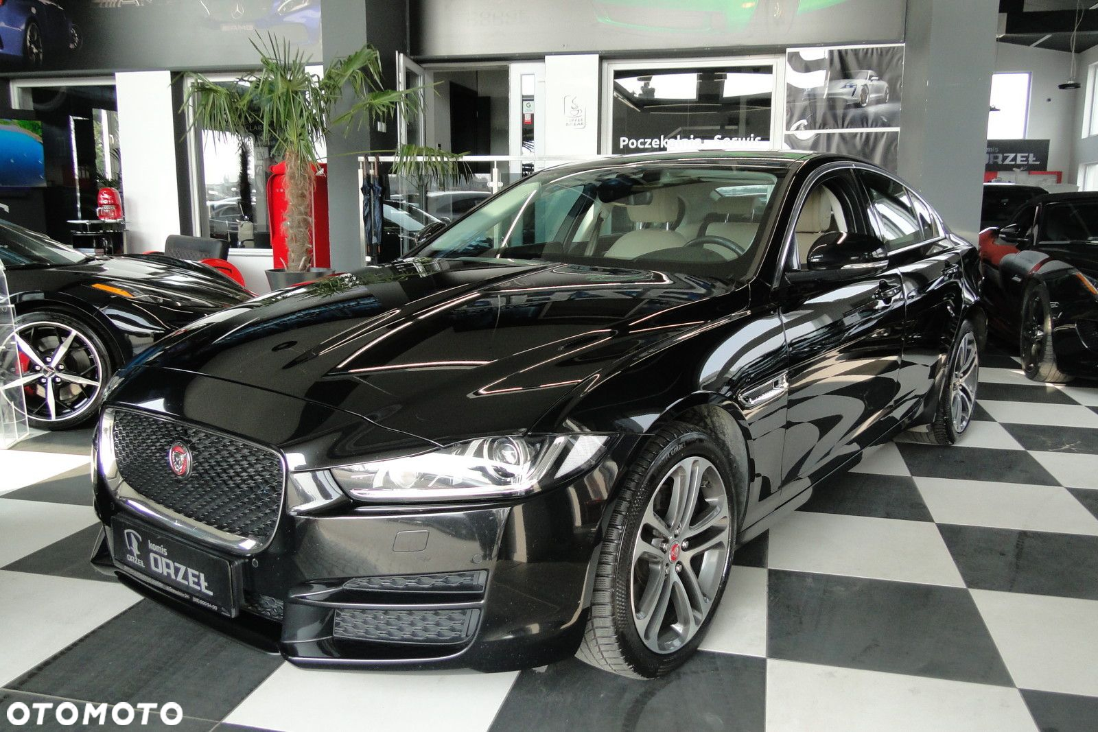 Jaguar XE - 3