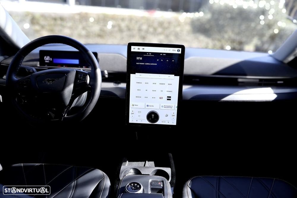 Ford Mustang Mach-E Standard - 14