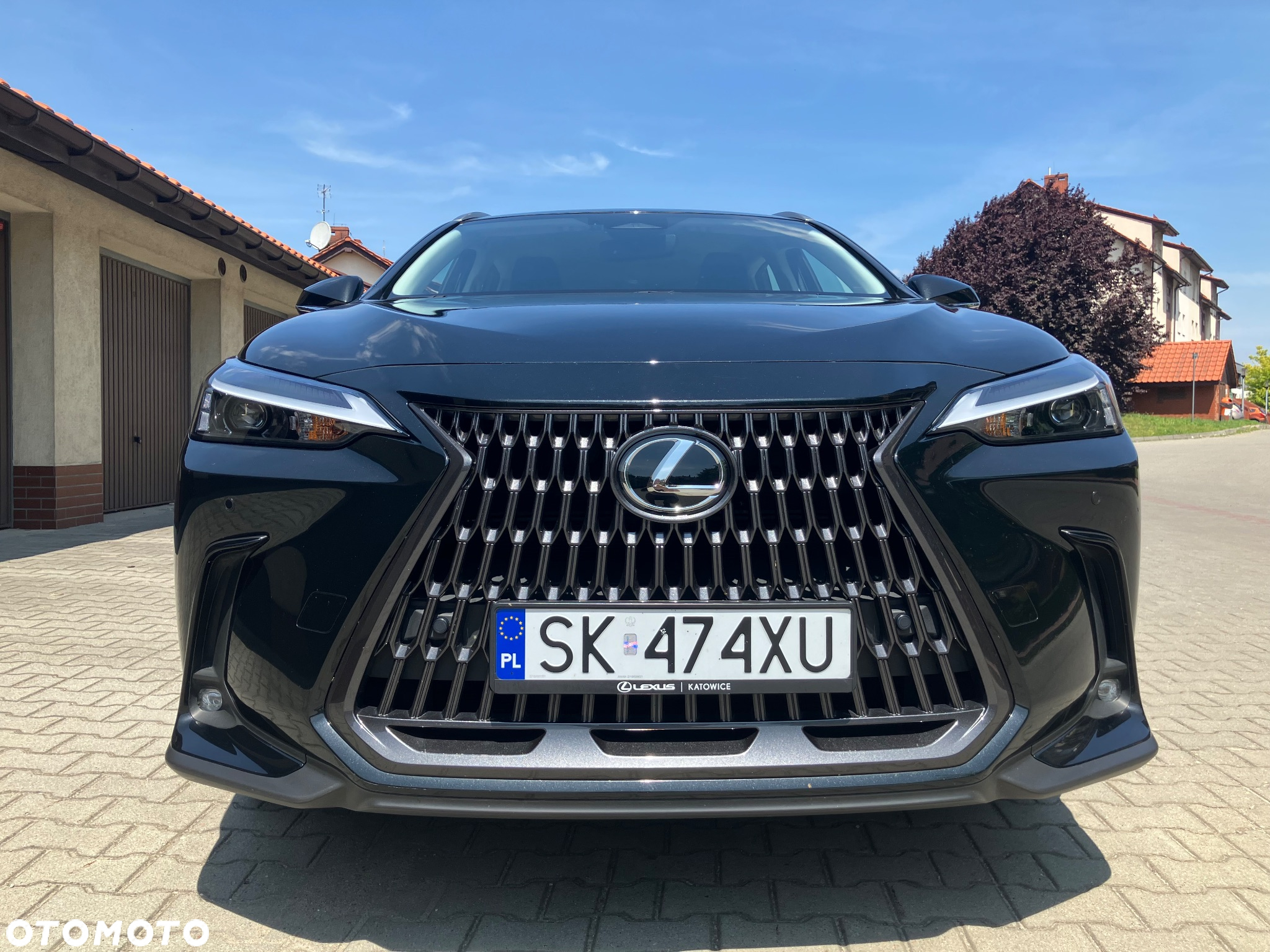 Lexus NX 350h Elegance 2WD - 7