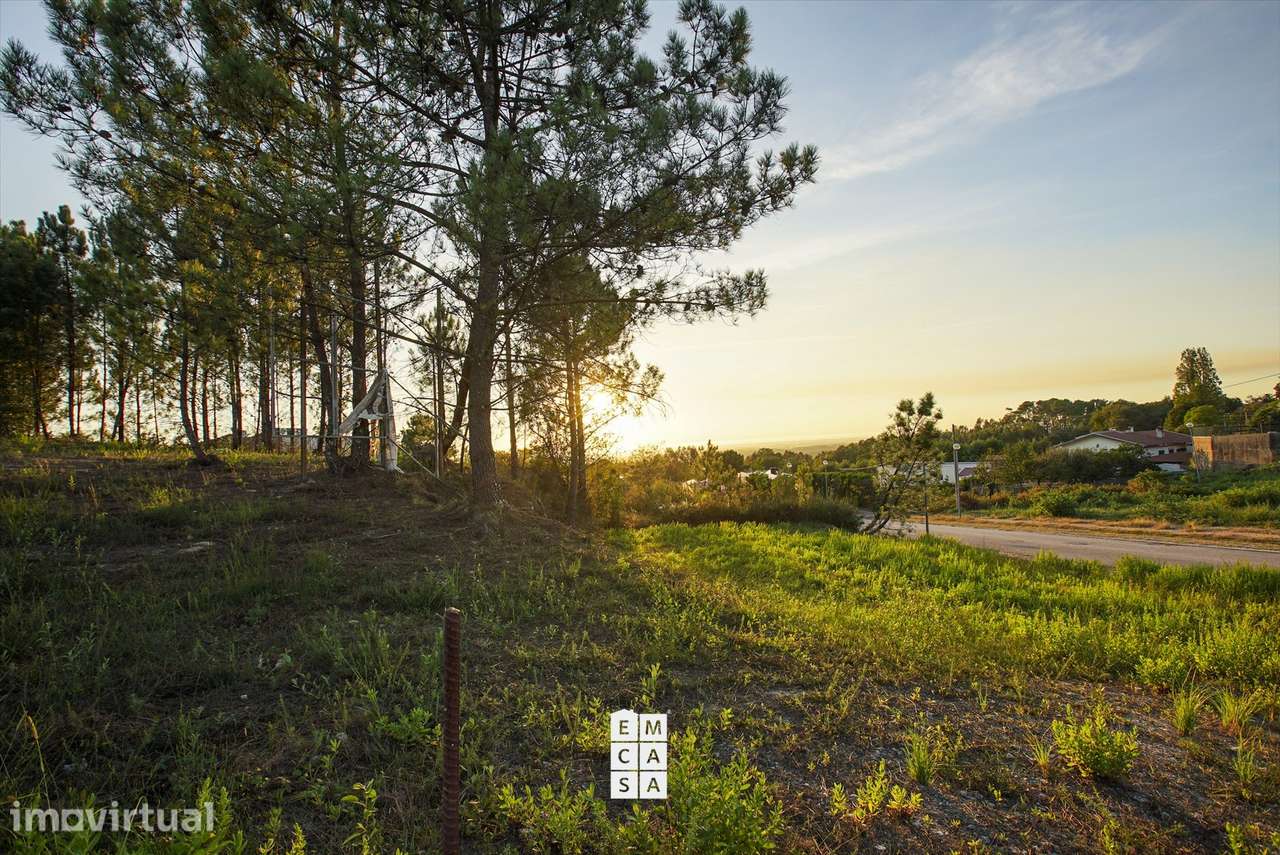 Lote de Terreno  Venda em Pinheiro da Bemposta, Travanca e Palmaz,Oliv - Grande imagem: 2/35