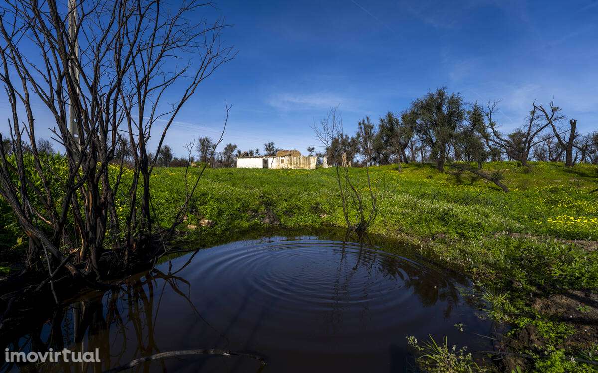 Quinta Rural em Odeceixe - Grande imagem: 5/7