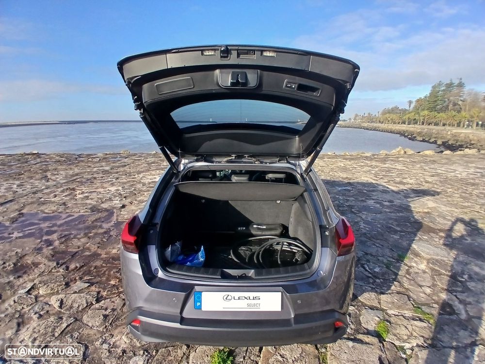 Lexus UX 300e Luxury+TAE+JLL18 - 19