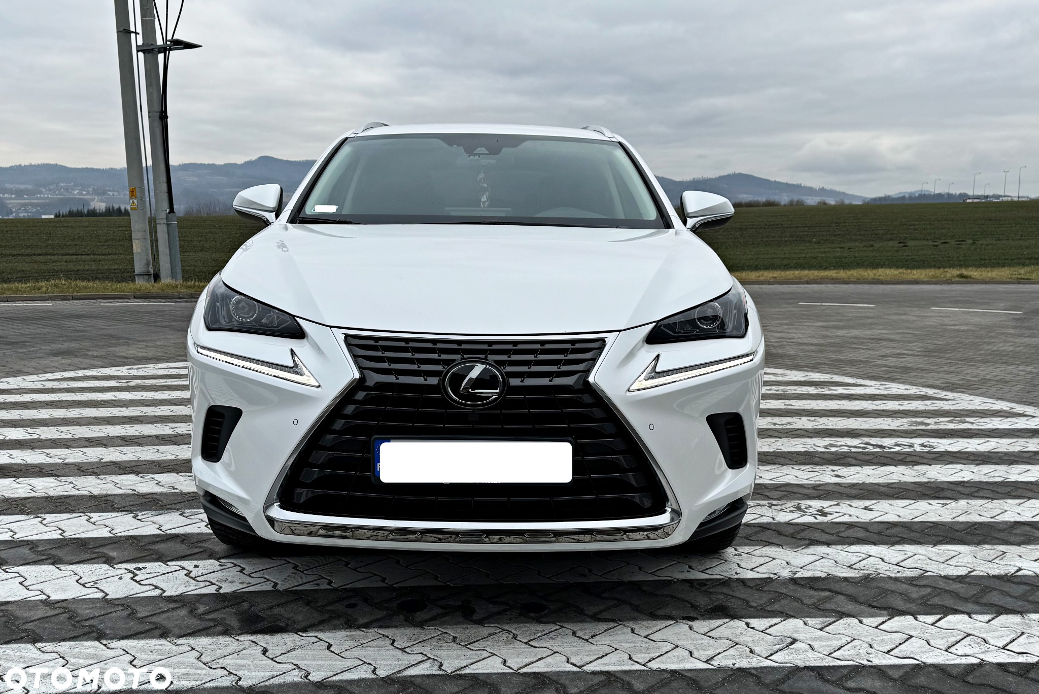 Lexus NX 300 Elegance Optimum AWD - 8