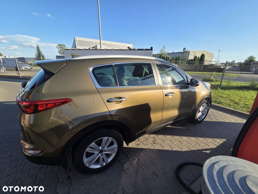 Kia Sportage 1.6 T-GDI Business Line 4WD DCT - 8