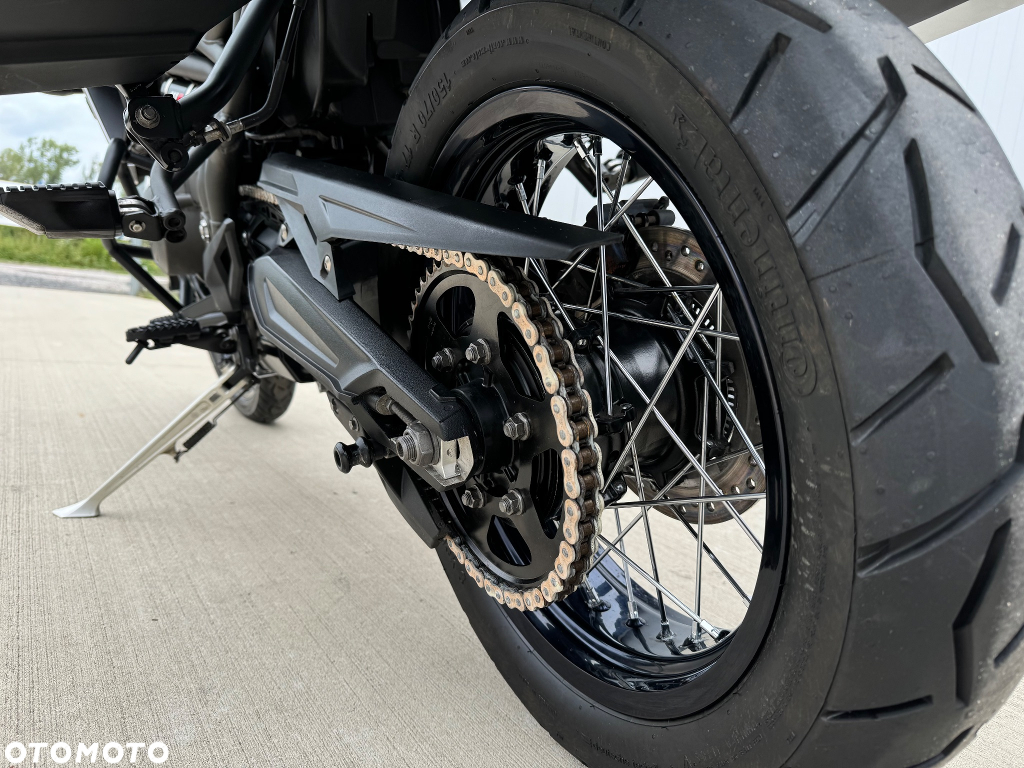 Triumph Tiger - 13