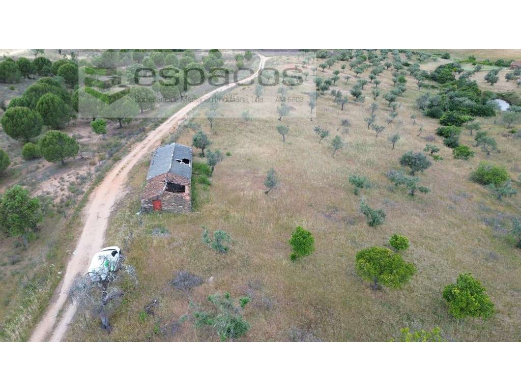 Terreno em Monte Fidalgo - Grande imagem: 2/26
