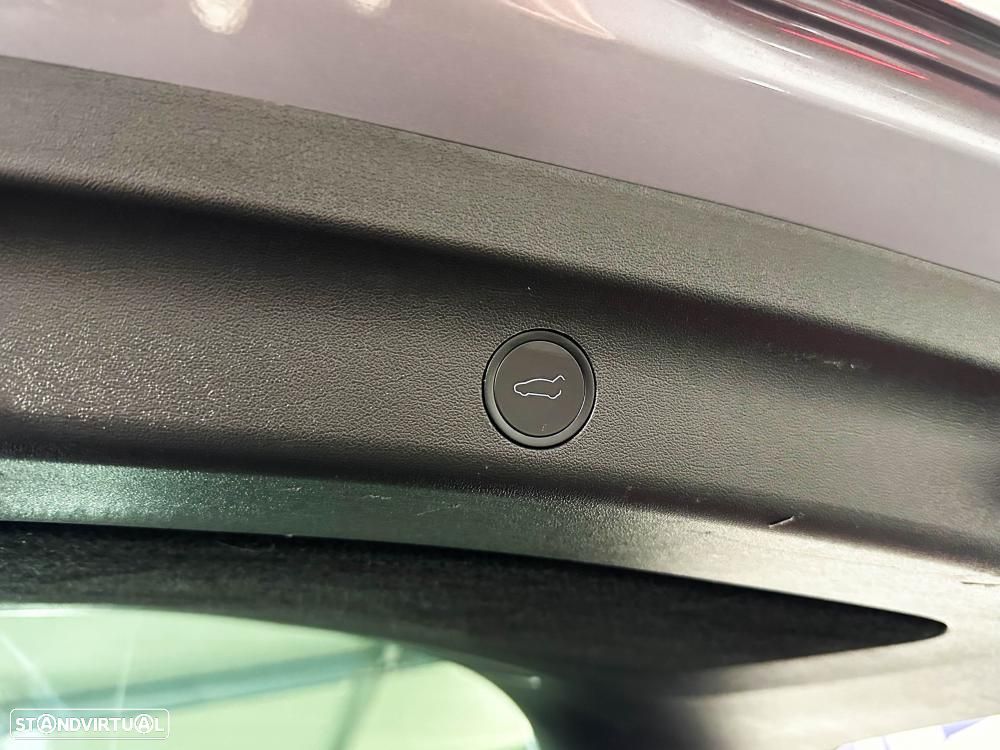 Tesla Model Y Performance Dual Motor AWD - 55