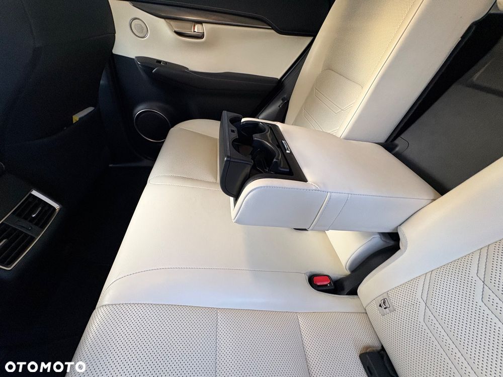 Lexus NX - 10