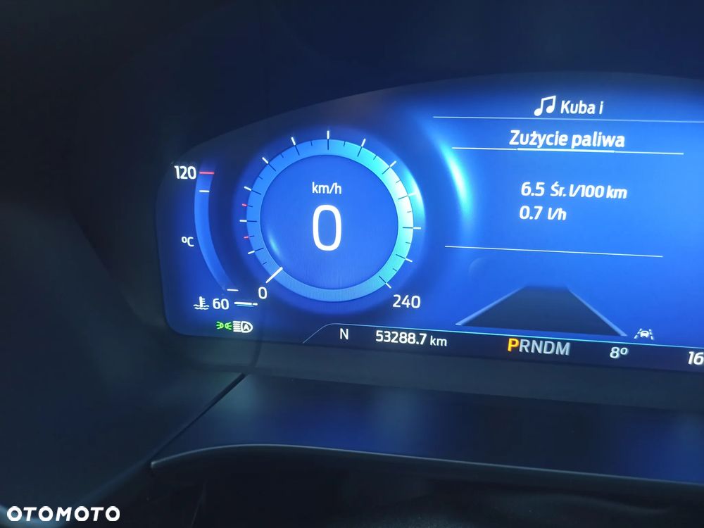 Ford Kuga 2.0 EcoBlue 4x4 ST-LINE X - 20