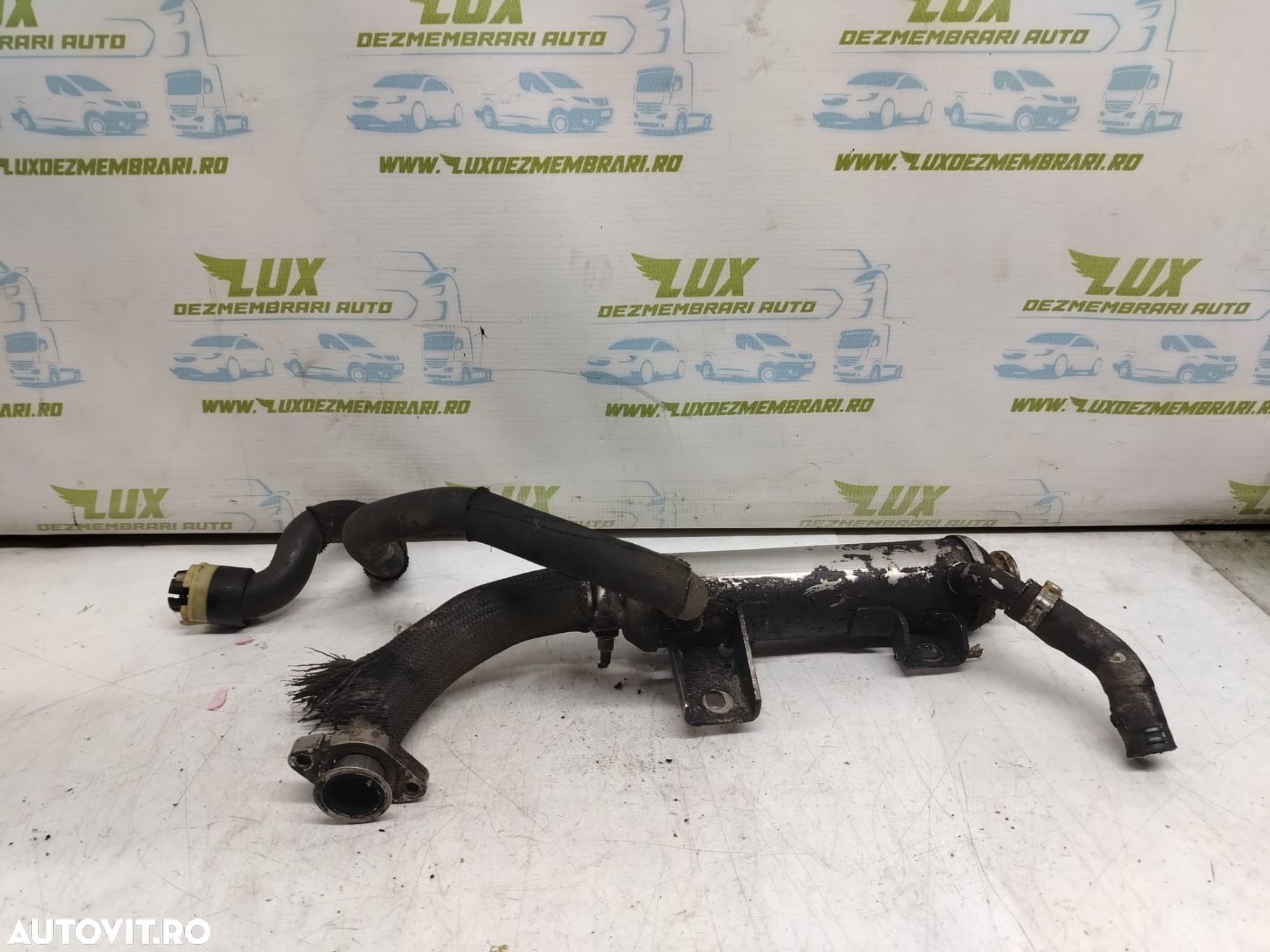 Racitor gaze 1.9 cdti z19dth 55202430 Opel Vectra C [facelift] [2005 - 1