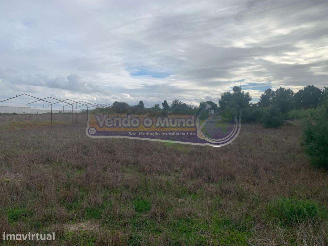 Terreno em Foros de Salvaterra (F758) - Grande imagem: 2/9