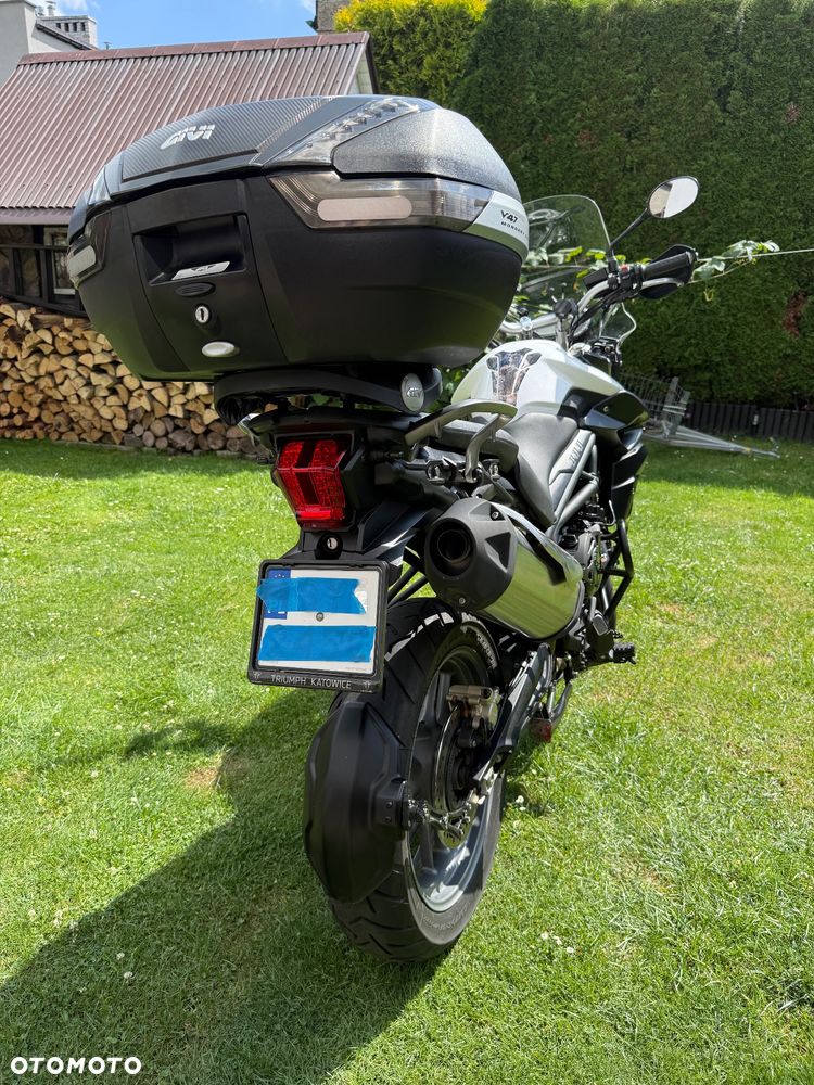 Triumph Tiger - 9