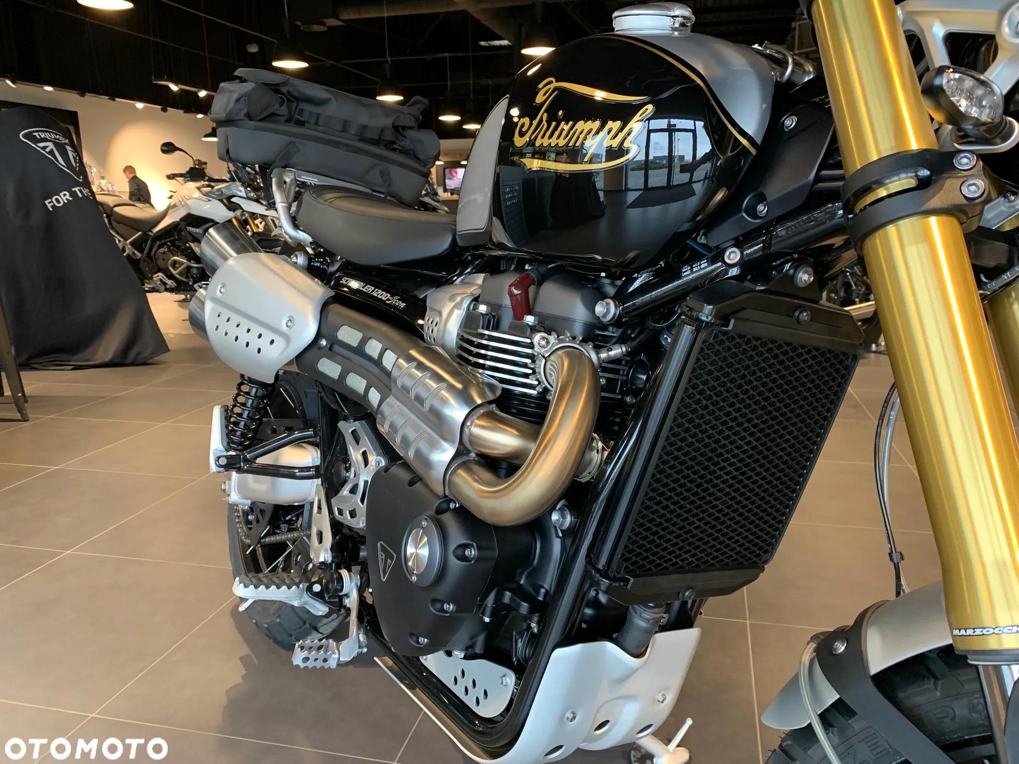 Triumph Scrambler - 3