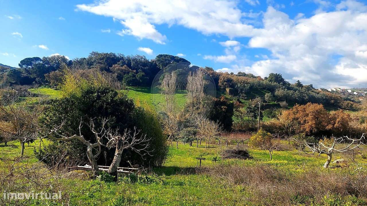 Terreno  para venda - Grande imagem: 4/14