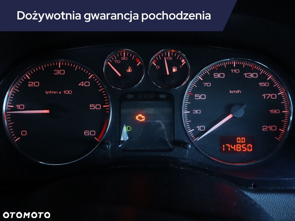 Peugeot 307 - 13