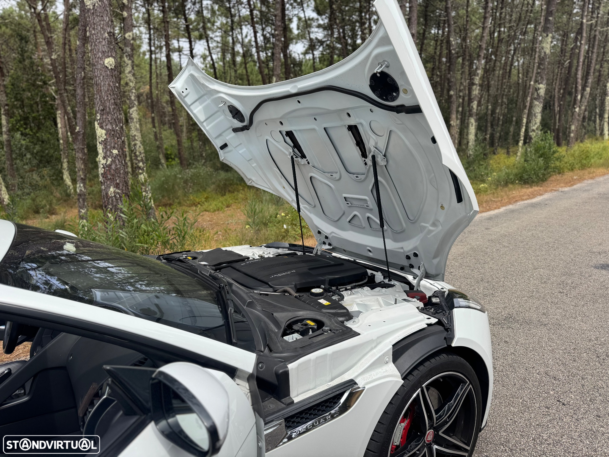Jaguar F-Type Cabriolet P300 Aut. First Edition - 15