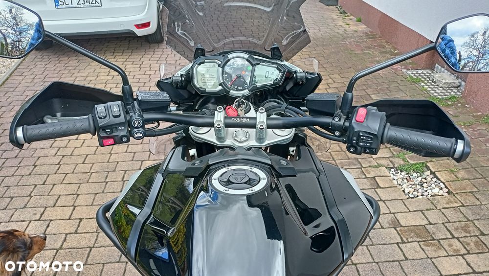 Triumph Tiger - 8