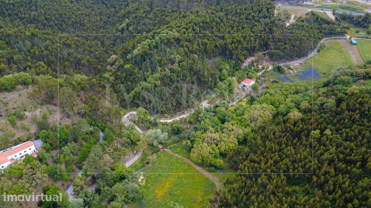 Refúgio Natural com Quase 7 Hectares no Gradil, Mafra - Grande imagem: 5/31