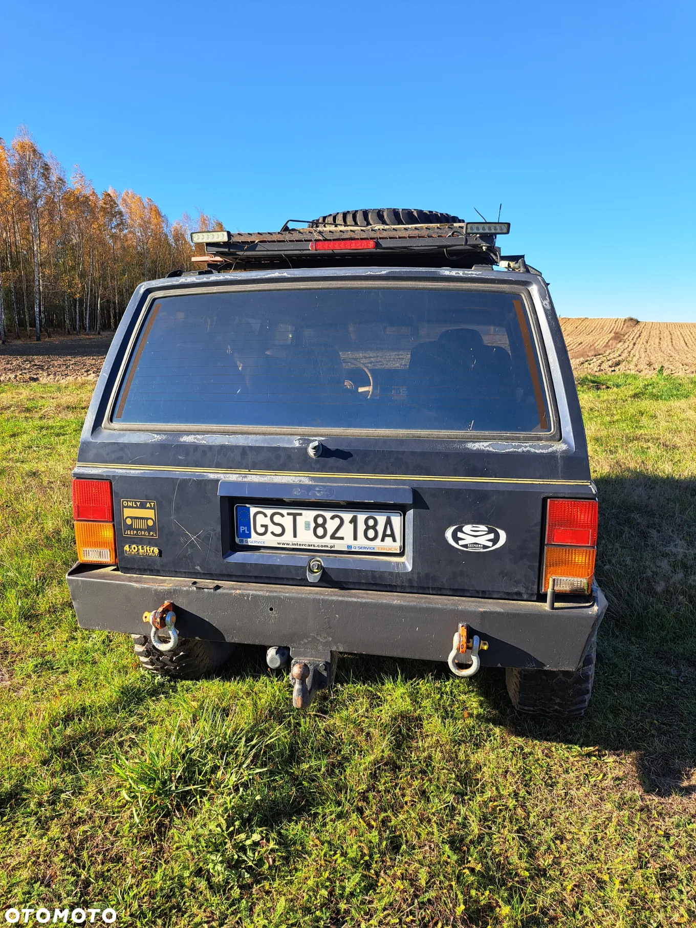 Jeep Cherokee 4.0 Limited - 10