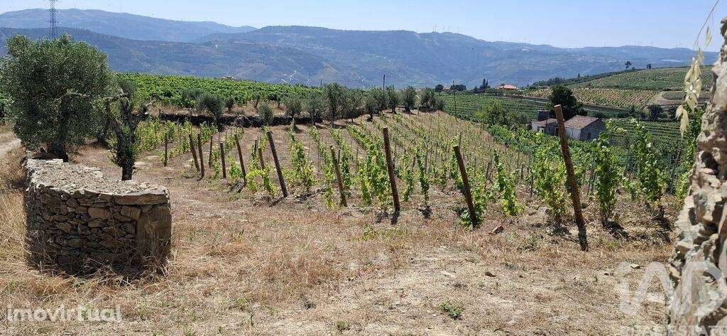 Quinta T3 em Poiares e Canelas - Grande imagem: 5/39