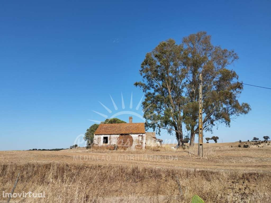 Herdade a 10km de Alvalade do Sado - Grande imagem: 2/43