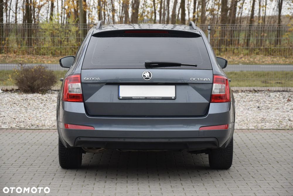 Skoda Octavia 2.0 TDI Ambition DSG EU6 - 24