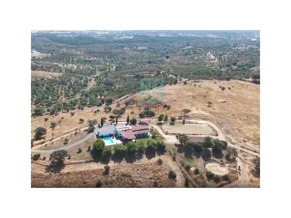 Herdade equestre com moradia T5 e piscina, 93,5ha, em Ourique, Alen... - Grande imagem: 3/60