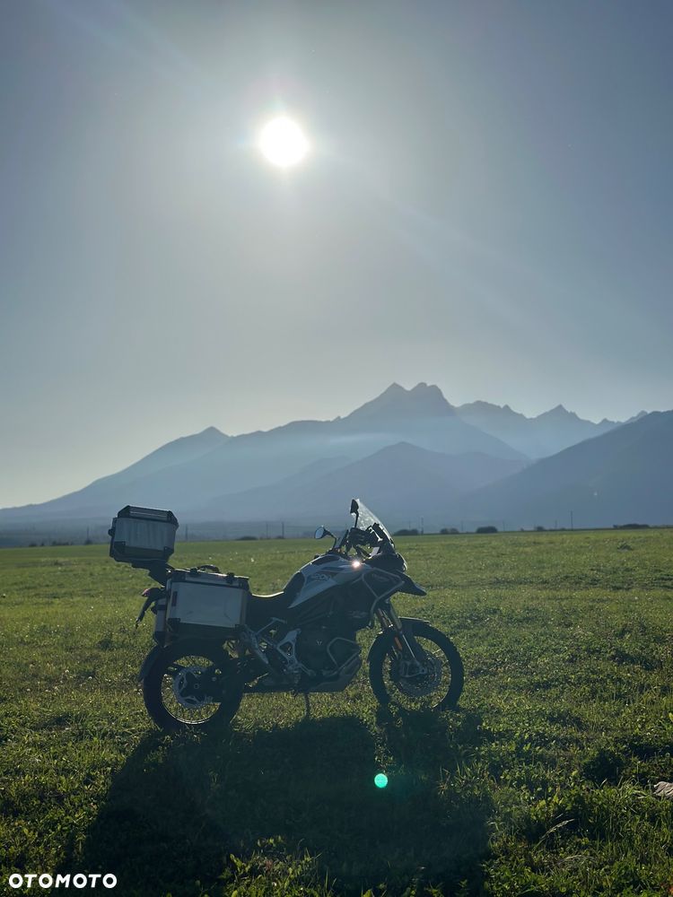 Triumph Tiger - 4