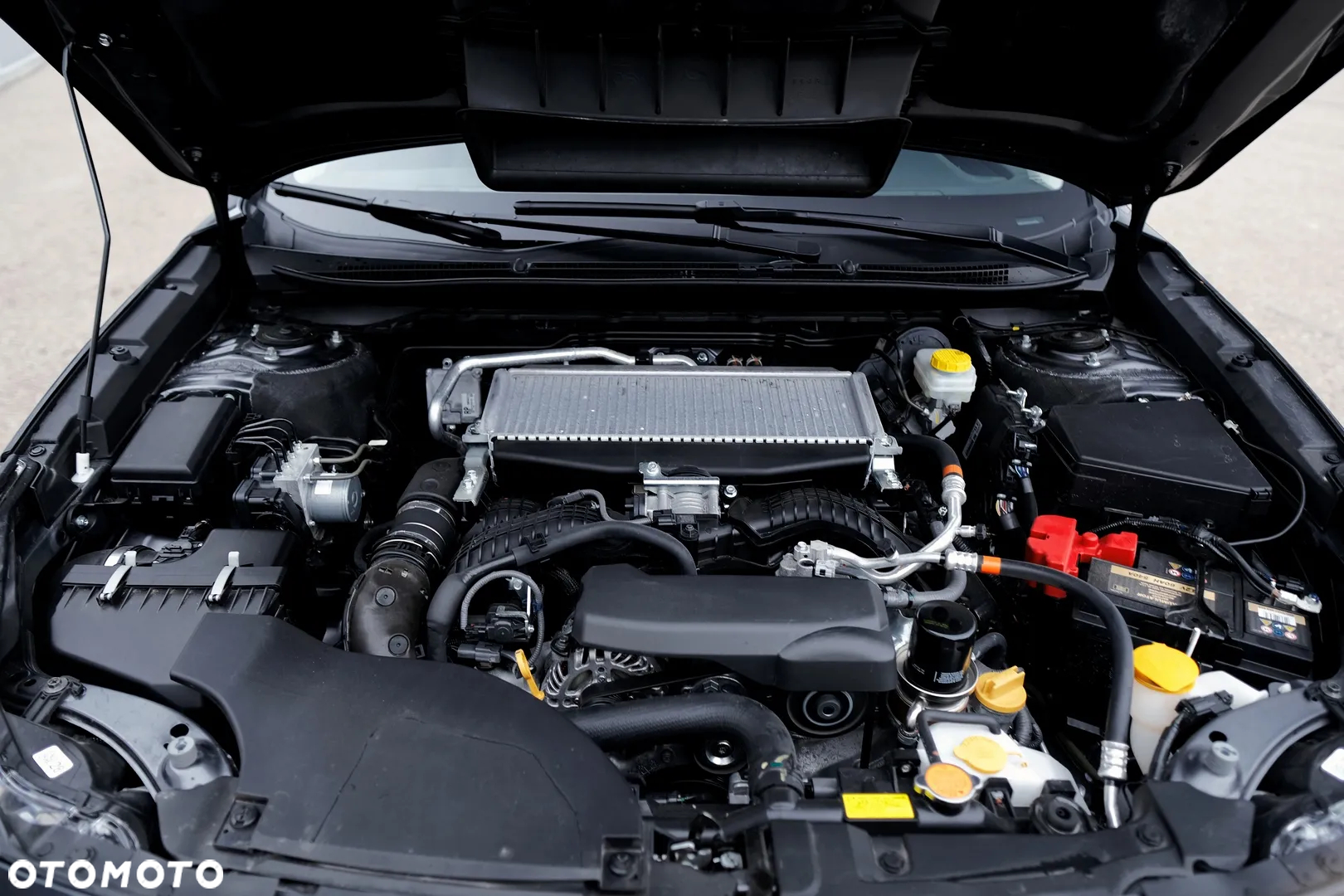 Subaru Outback - 39