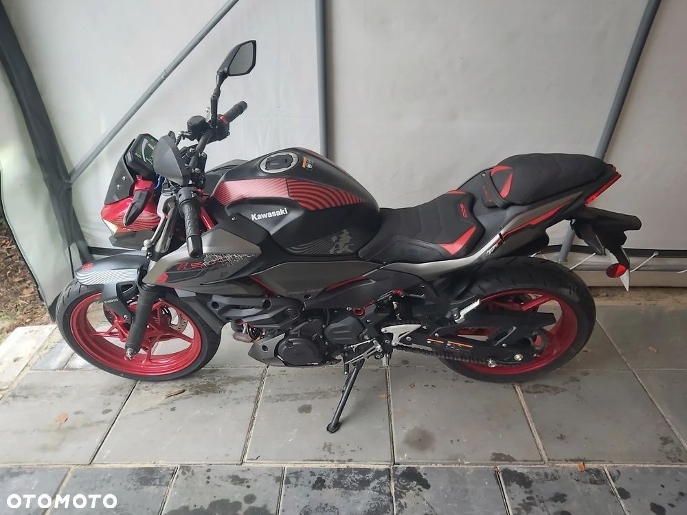 Kawasaki Z - 22