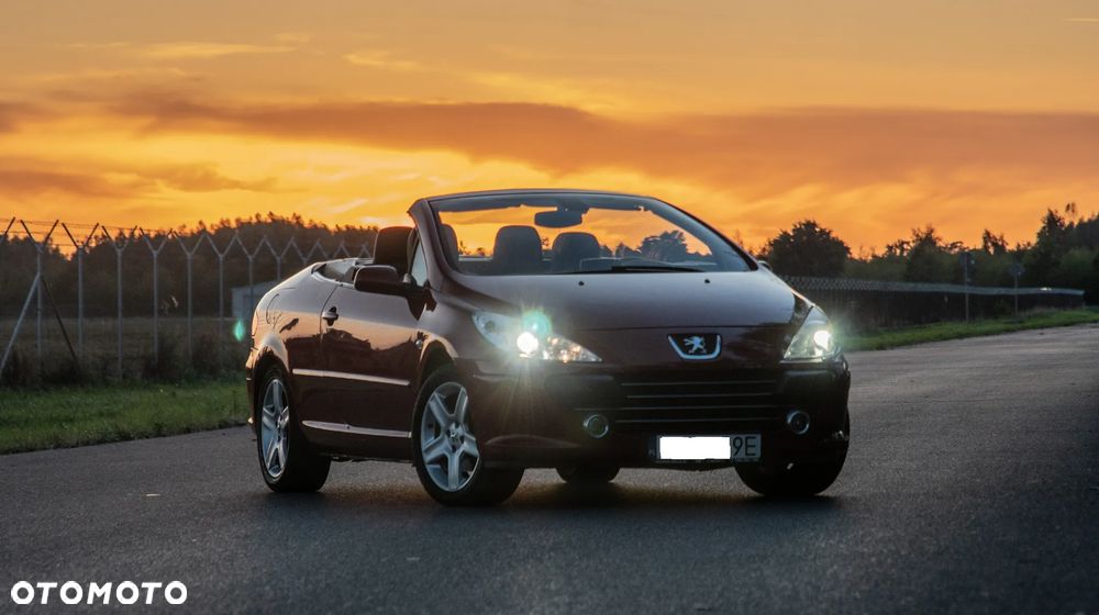 Peugeot 307 CC - 14