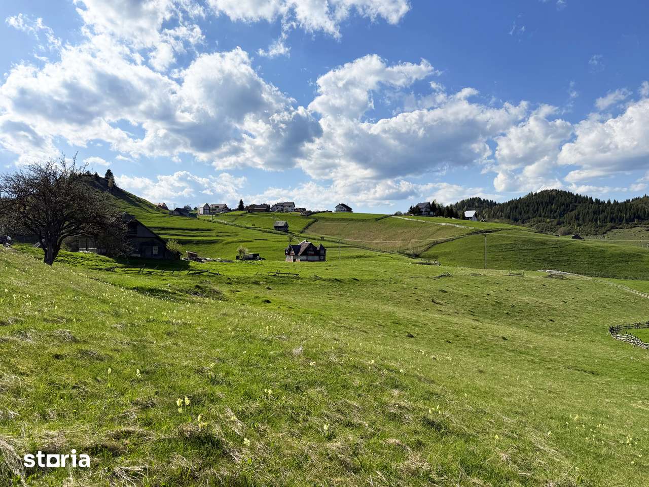 Teren intravilan, 8400 mp, comuna Fundata, zona Bran-Moeciu, Brasov - Imagine principală: 2/9